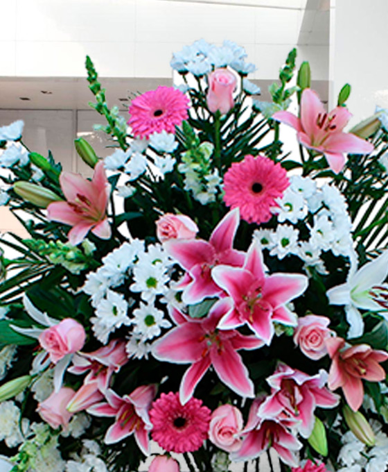 Corona Funeraria Blanca y Rosa Cáceres